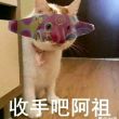 ͷ��