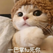 ͷ
