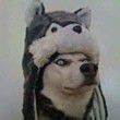 ͷ
