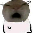 ͷ��