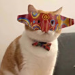 ͷ