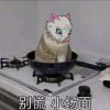 ͷ��