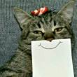 ͷ