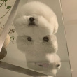 ͷ��