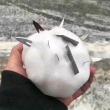 ͷ��