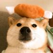 ͷ��