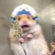 ͷ��