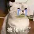 ͷ