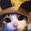 ͷ��