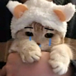 ͷ