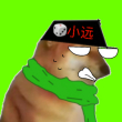 ͷ��