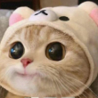 ͷ��