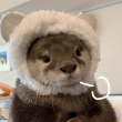 ͷ��