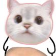 ͷ��