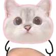 ͷ