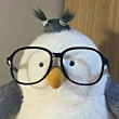 ͷ