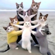 ͷ��