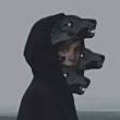 ͷ