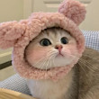 ͷ
