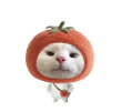 ͷ��