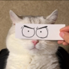 ͷ��