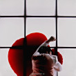 ͷ