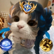 ͷ��