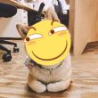ͷ��