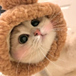ͷ