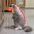 ͷ