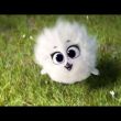 ͷ��