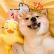 ͷ��