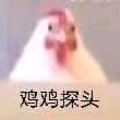 ͷ��
