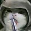 ͷ