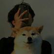 ͷ
