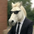 ͷ��