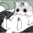 ͷ��