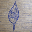 ͷ