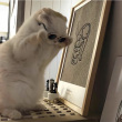 ͷ��
