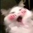 ͷ