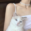 ͷ��