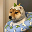 ͷ��