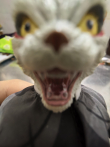 ͷ��