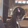 ͷ