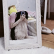 ͷ