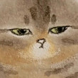 ͷ