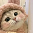 ͷ