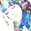 ͷ