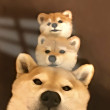 ͷ