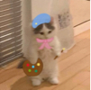 ͷ��